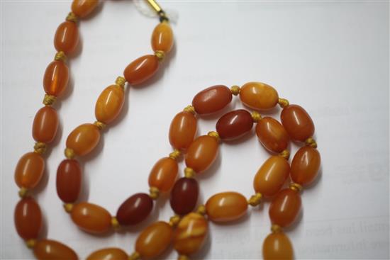 A single strand graduated oval amber bead necklace, 50cm.